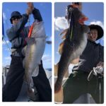 11月8日(水)『隠岐の島タラジギング』