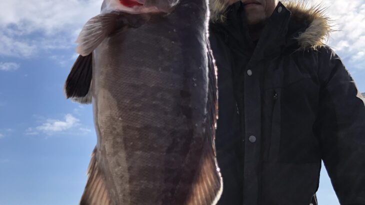 12月4日(月)『スロー・ライトスピニング』