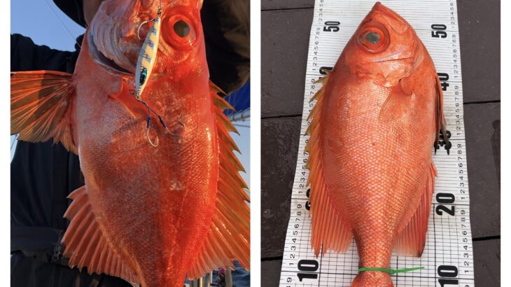 12月6日(水)『スロー・ライトスピニング』