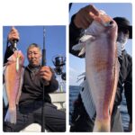 12月10(日)『隠岐の島スロー・ライトスピニング』