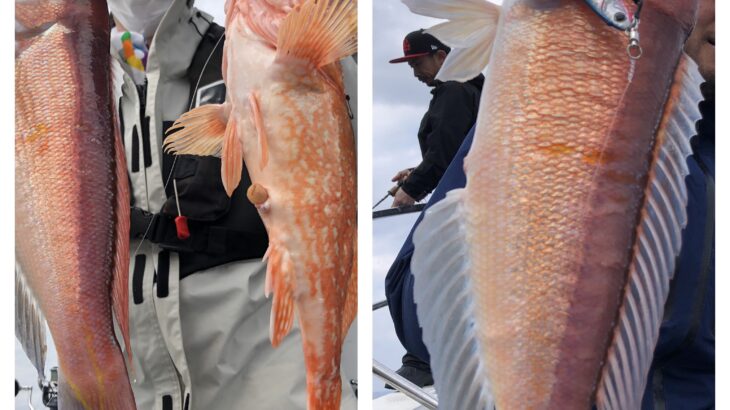 12月27日(水)『隠岐の島スロー・ライトスピニング』