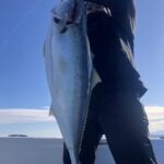 1月17日(水)『寒鰤ジギング』