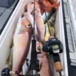 1月30日(火)『隠岐の島スロージギング』