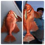 3月11日(月)『スロー・ライトスピニング』エリアＢ