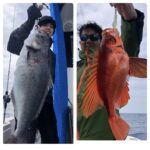 3月31日(日)『スロー・スピネギ』エリアＢ