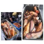 4月7日(日)『スロー・スピネギ』