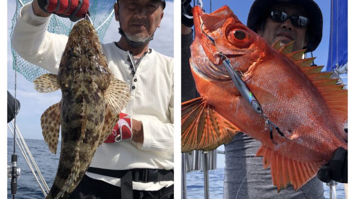 5月5日(日)『隠岐の島スロー・スピネギ』