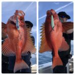 5月23日(木)『隠岐の島スロー・ライトスピニング』