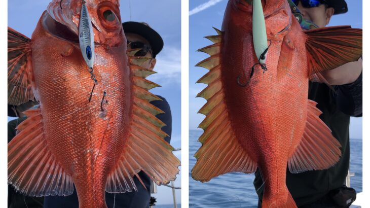 5月23日(木)『隠岐の島スロー・ライトスピニング』