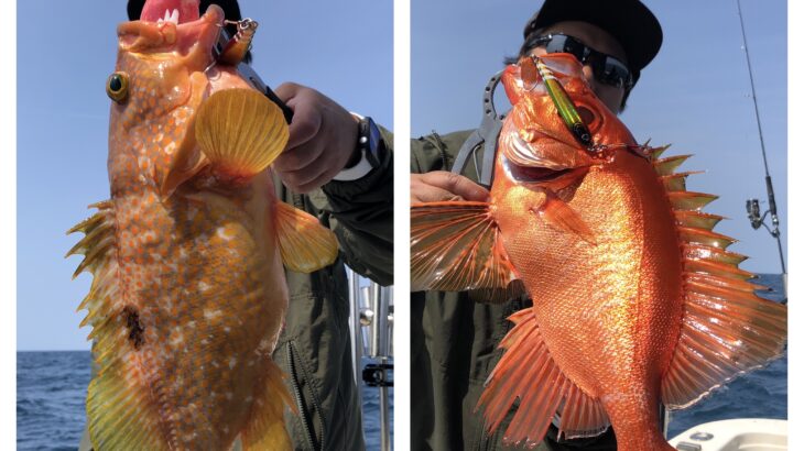 5月26(日)『隠岐の島スロー・ライトスピジギング』