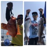 6月11日(火)『隠岐の島ライト中深海』