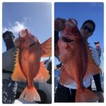 6月21(金)『隠岐の島スロー・スピネギ』