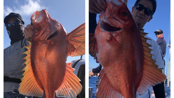 6月21(金)『隠岐の島スロー・スピネギ』