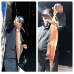 6月25(火)『イカ釣り』