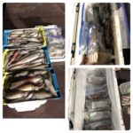 『お知らせ』7/22(月)イカ釣り22時出船便🈳あります！