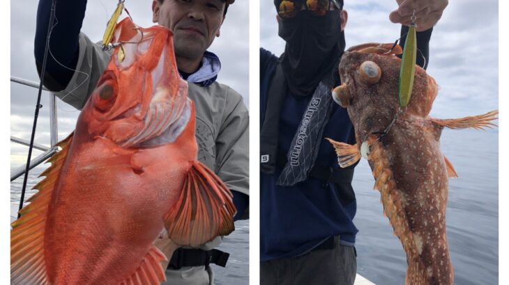 7月12日(金)『隠岐の島スロー・スピネギ』