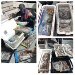 7月31日(水)『イカ釣り』