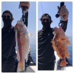 8月4日(日)『隠岐の島スロー・スピネギ』