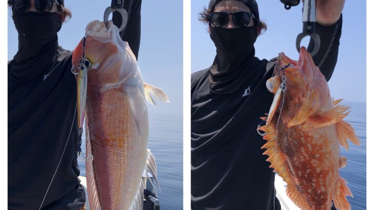 8月4日(日)『隠岐の島スロー・スピネギ』