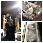 8月16日(金)『イカ釣り』