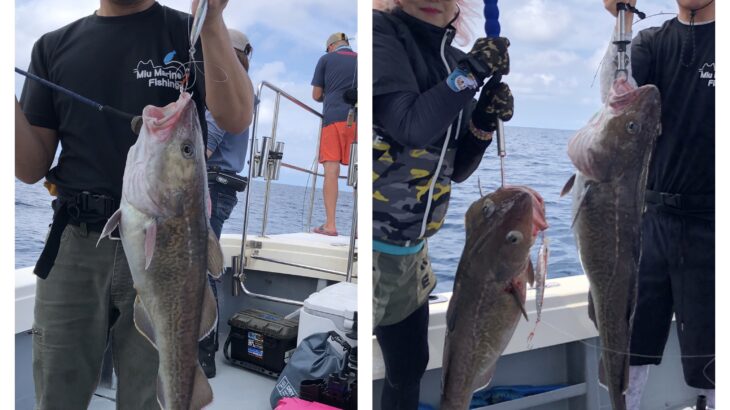 8月26日(月)『隠岐の島タラジギング』