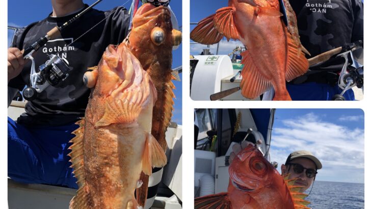 9月11日(水)『隠岐の島スロー・スピネギ』