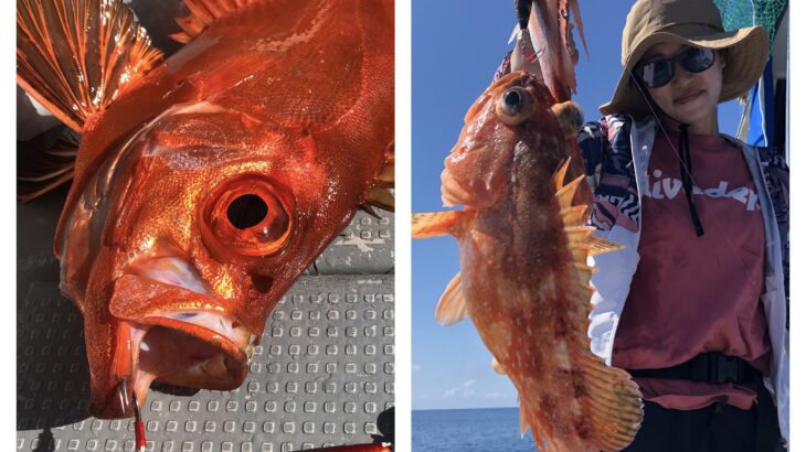 9月13日(金)『隠岐の島スロー・スピネギ』