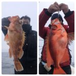 2月1日(土)『隠岐の島スロー・ライトスピニング』