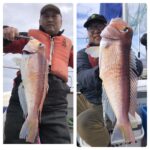 ４月2日(水)『隠岐の島スロー・スピネギ』