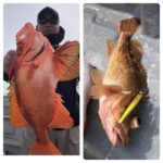 ５月29日(木)『隠岐の島スロー・スピネギ』