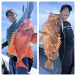 6/20(金)『隠岐の島スロー・スピネギ』