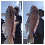 6/28(土)『隠岐の島スロー・スピネギ』