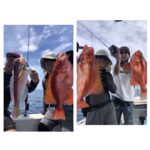 7/19(土)『隠岐の島スロー・スピネギ』