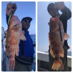 8/14(木)『隠岐の島スロー・スピネギ』