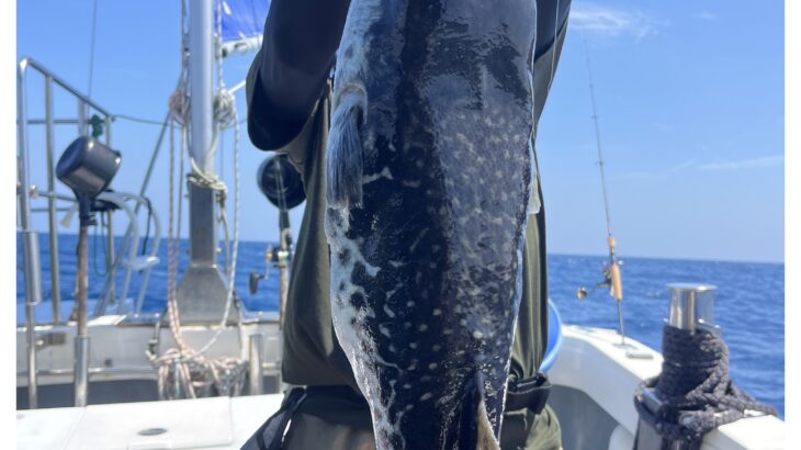 8/15(金)『隠岐の島スロー・スピネギ』『白イカ・イカメタル』