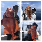 8/31(日)『隠岐の島スピネギ』