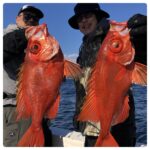 11/15(土)『隠岐の島スロー・スピネギ』