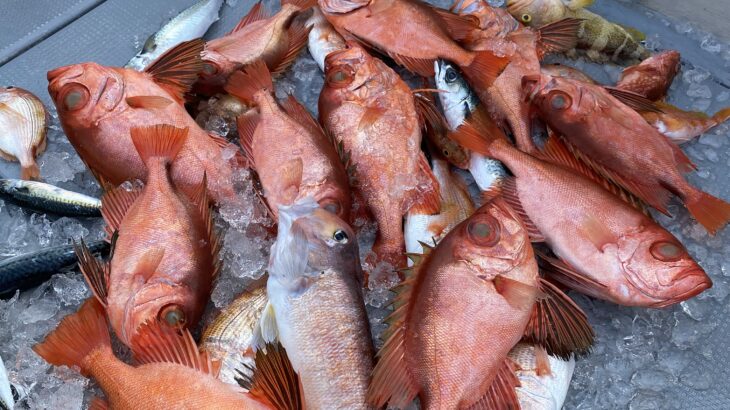 『お知らせ』3/29(日)ベタ凪予報！空きあります。