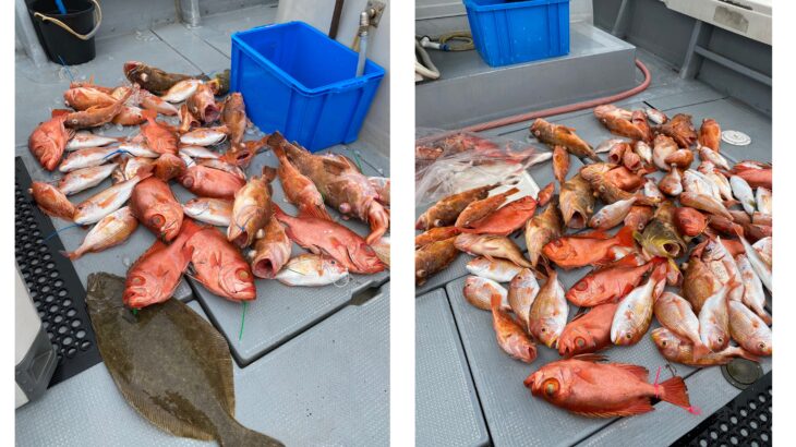 『お知らせ』4/29急遽、再募集中！