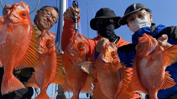 4/20(月)『隠岐の島スロー・スピネギ』