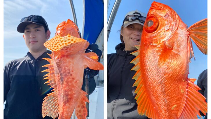 4/26(日)『隠岐の島スロー・スピネギ』