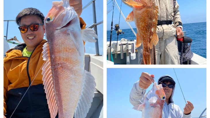 4/27(月)『隠岐の島スロー・スピネギ』